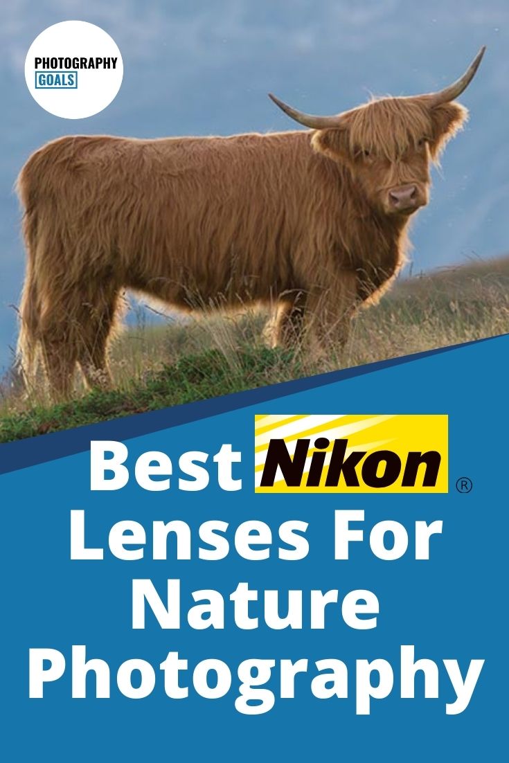 6 Best Nikon Lenses For Nature Photography (2023 Picks)