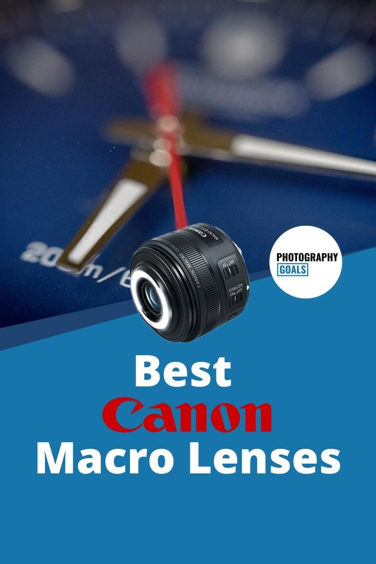 Best Macro Lens For Canon (2023 Picks)