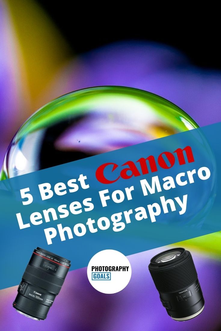 Best Macro Lens For Canon (2023 Picks)