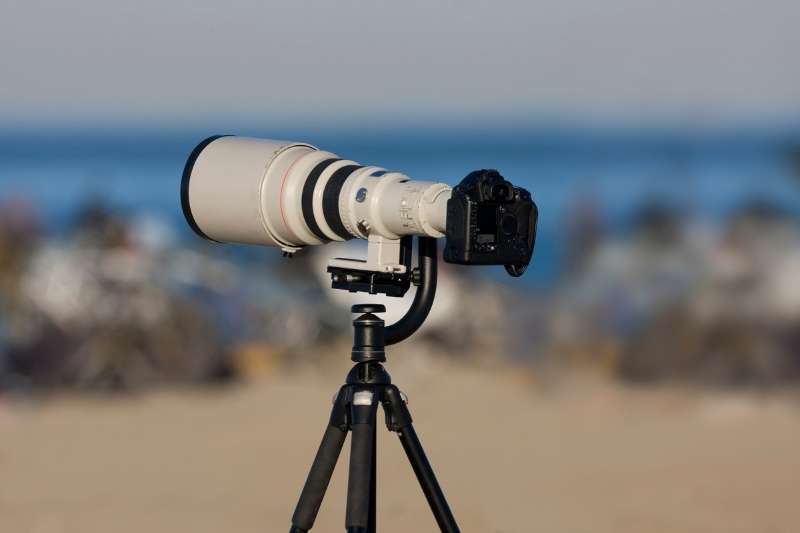 6 Best Canon Cameras For Wildlife in 2023 (...and 6 to avoid)